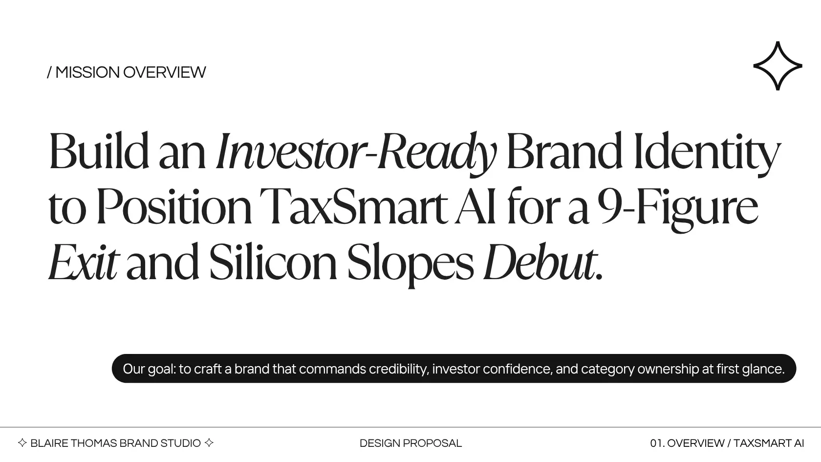 Investor-ready brand identity overview for TaxSmart AI